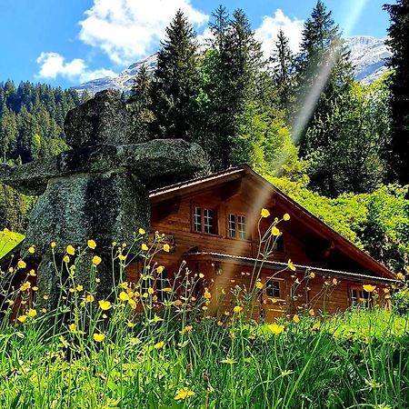 Alpenlodge Willigen Kültér fotó