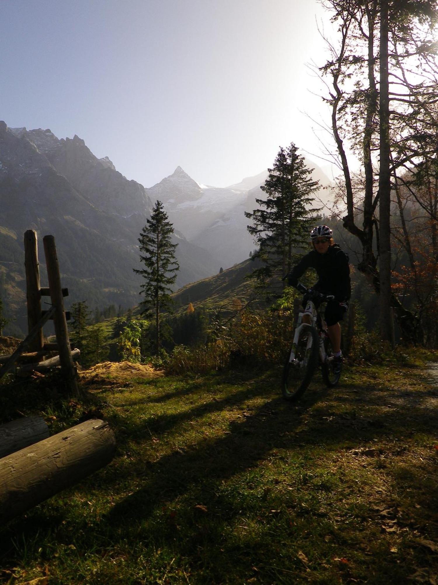 Alpenlodge Willigen Kültér fotó