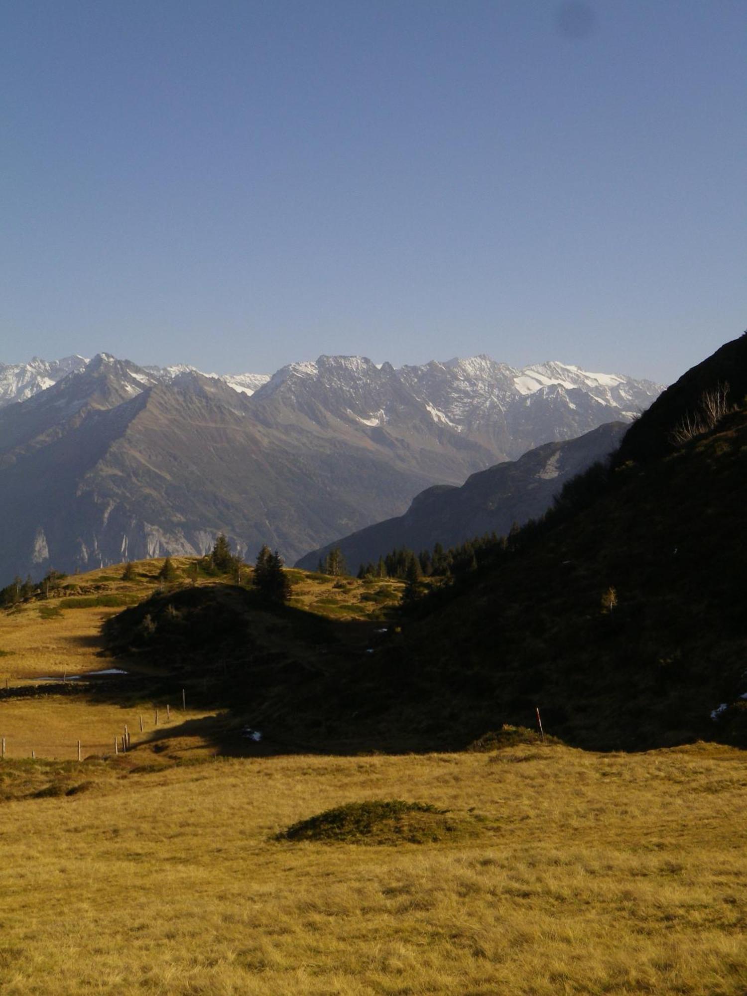 Alpenlodge Willigen Kültér fotó