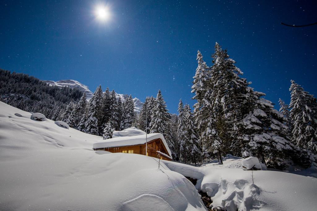 Alpenlodge Willigen Kültér fotó