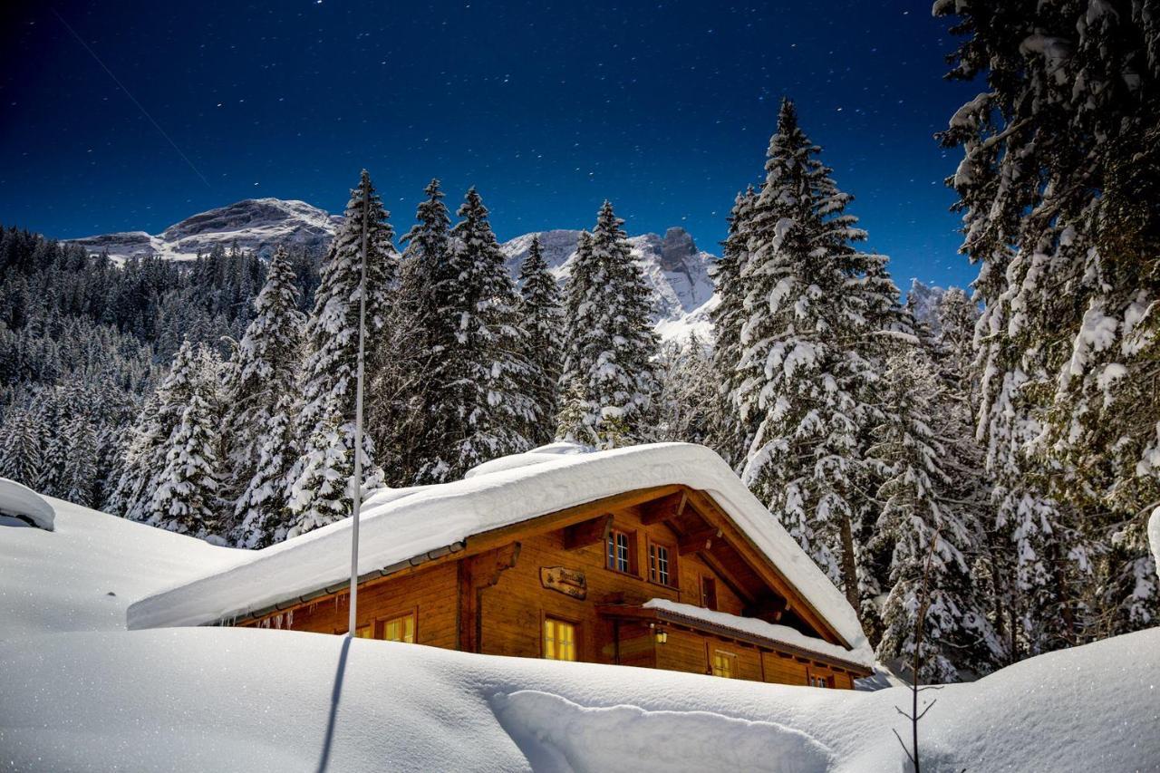 Alpenlodge Willigen Kültér fotó