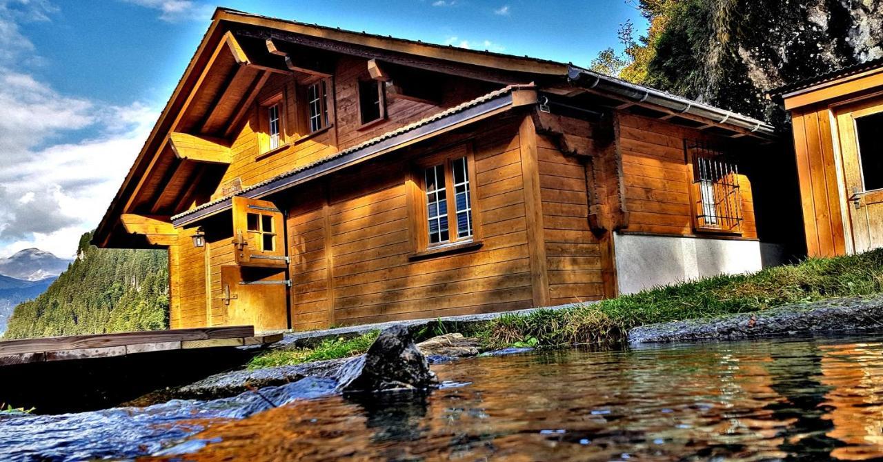 Alpenlodge Willigen Kültér fotó