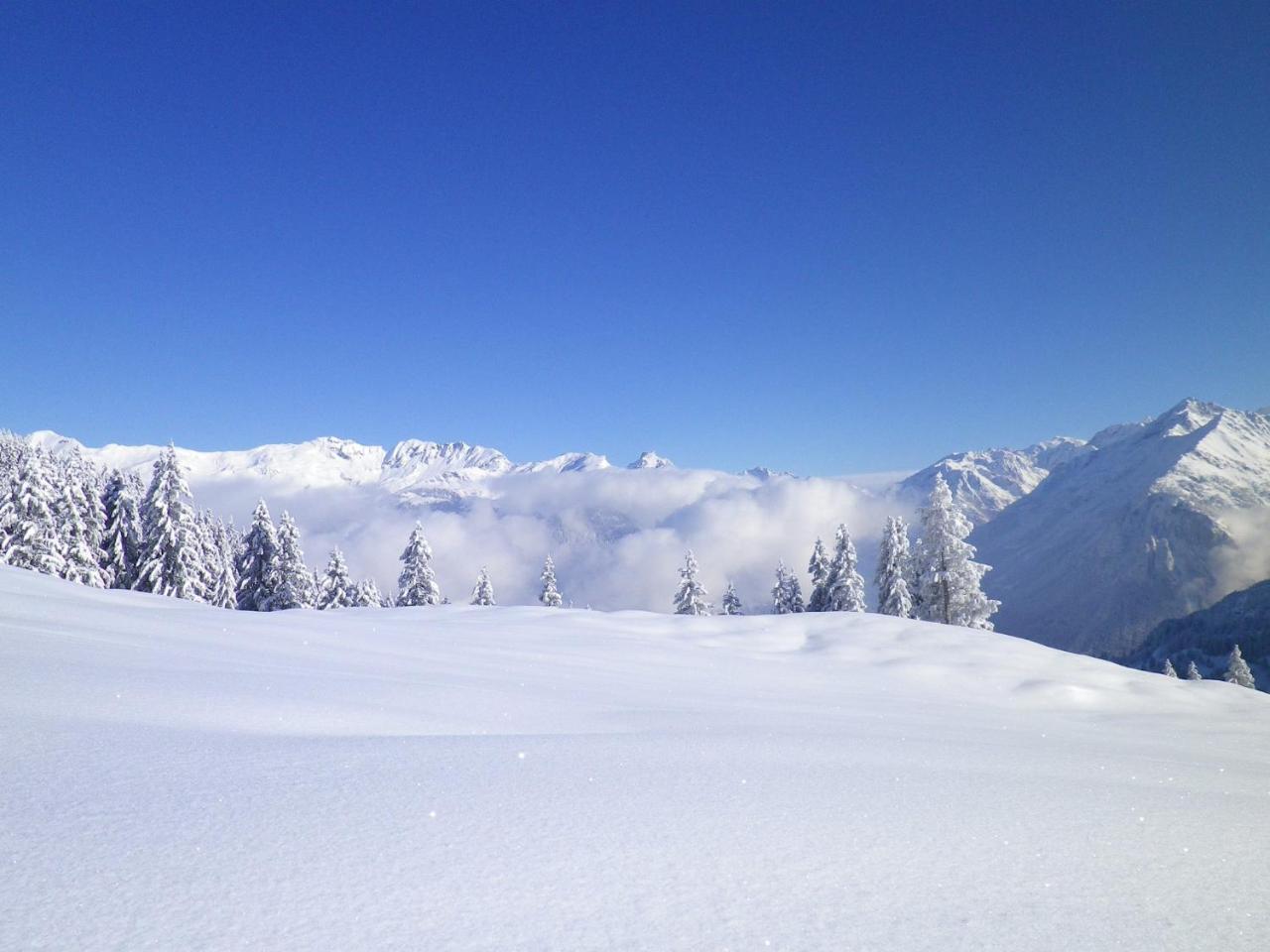 Alpenlodge Willigen Kültér fotó