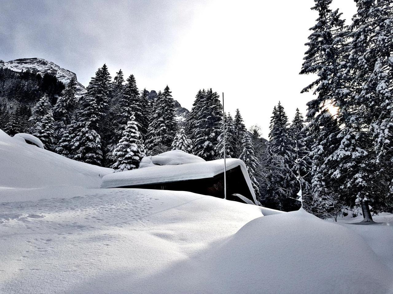 Alpenlodge Willigen Kültér fotó