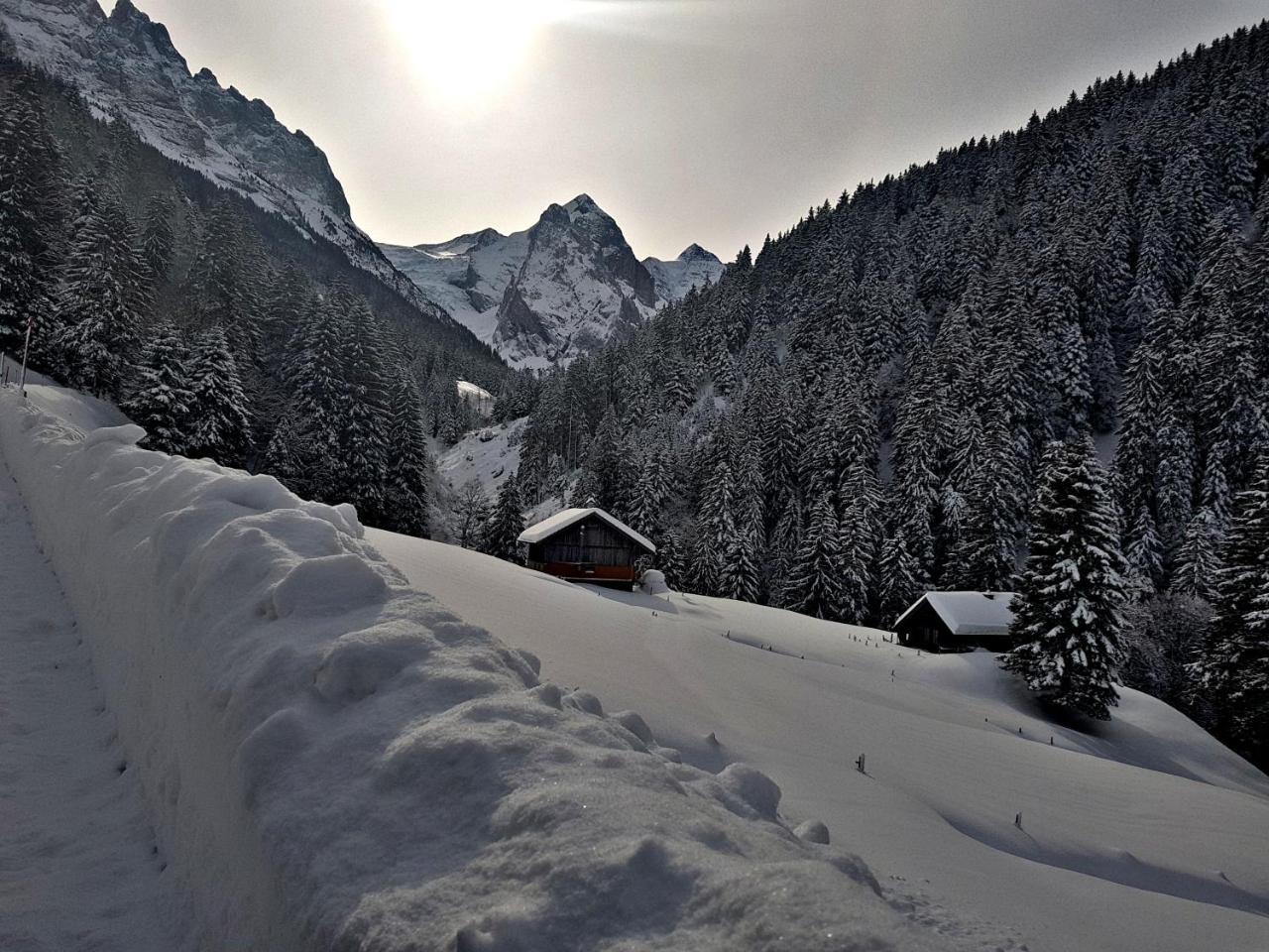 Alpenlodge Willigen Kültér fotó