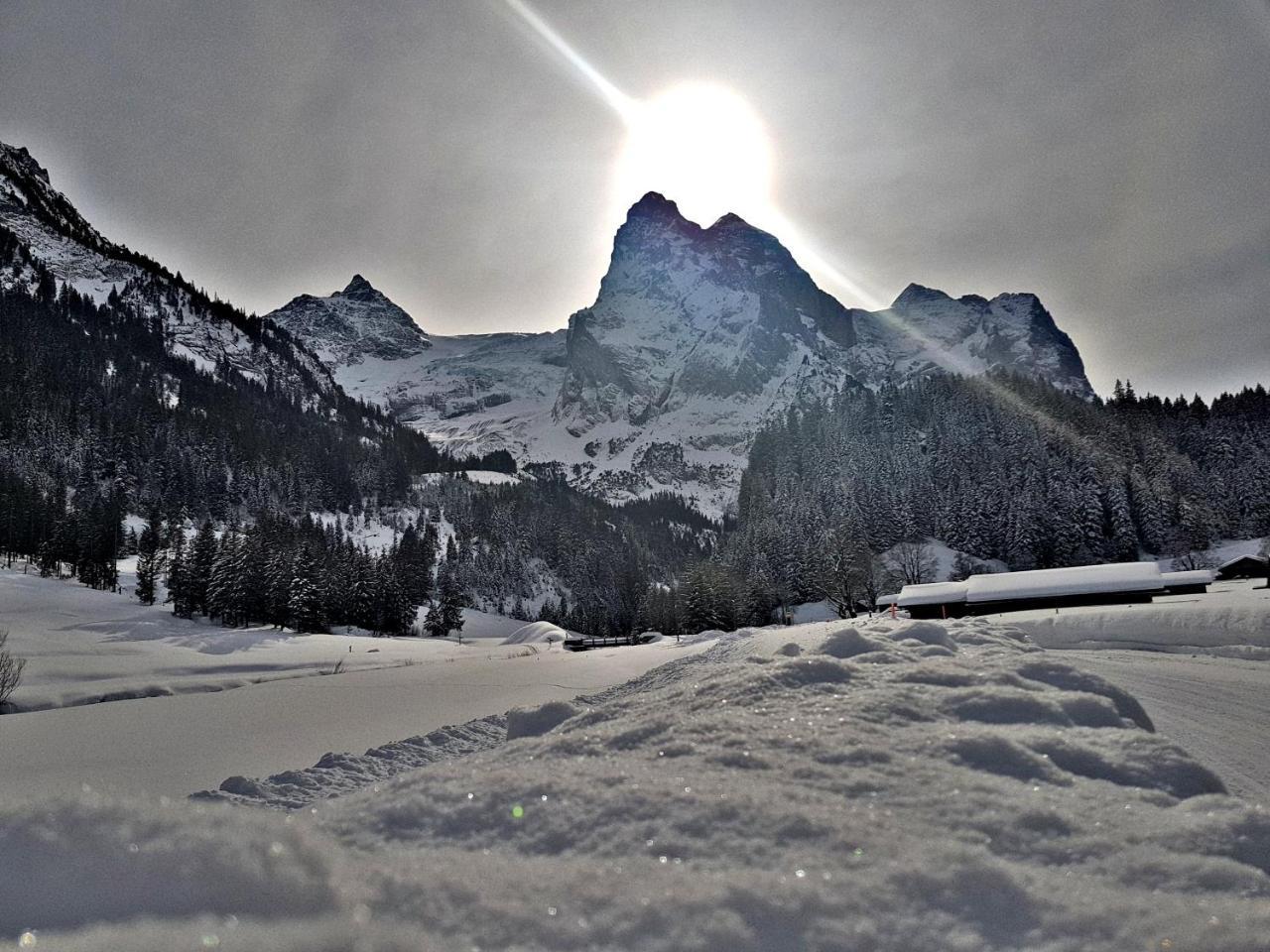 Alpenlodge Willigen Kültér fotó
