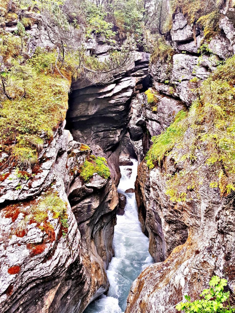 Alpenlodge Willigen Kültér fotó