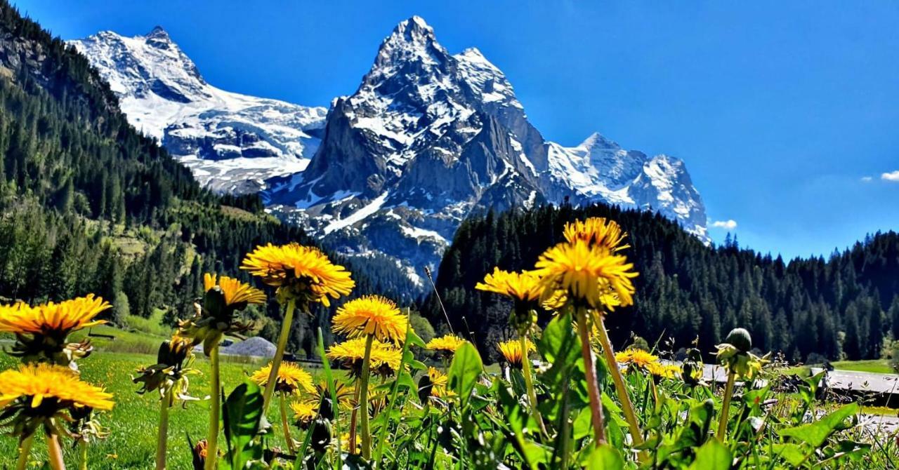 Alpenlodge Willigen Kültér fotó