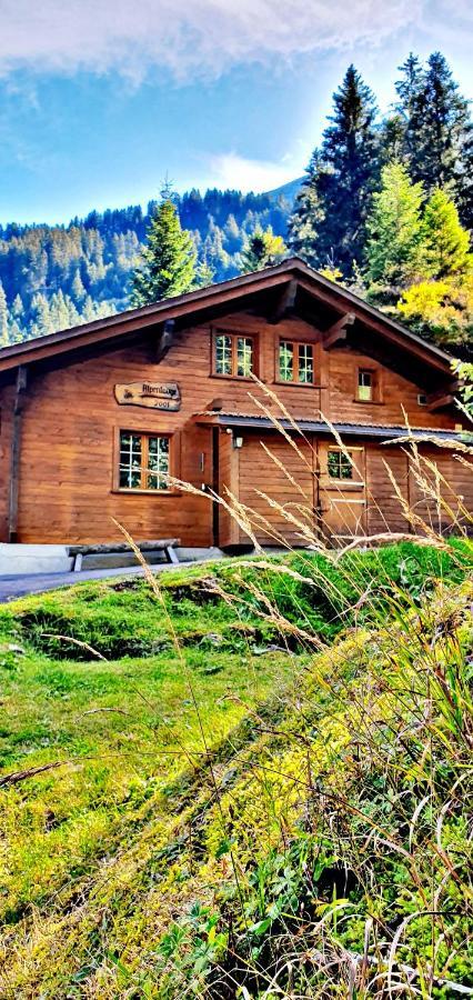 Alpenlodge Willigen Kültér fotó