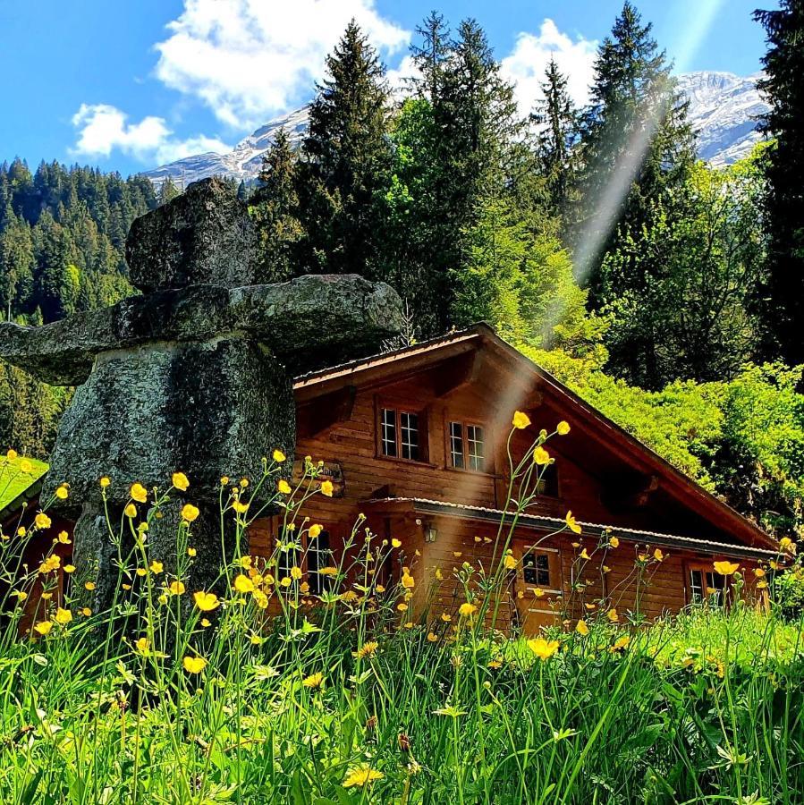 Alpenlodge Willigen Kültér fotó